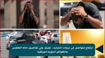 ارتفاع متواصل في درجات الحرارة.. تعرف على تفاصيل حالة الطقس والظواهر الجوية المرتقبة